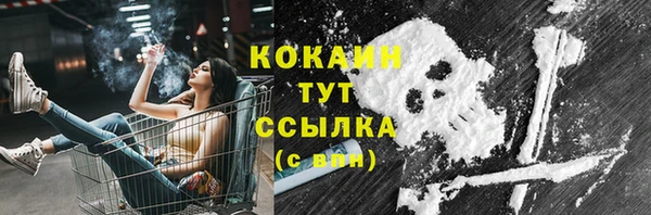 СК Балахна
