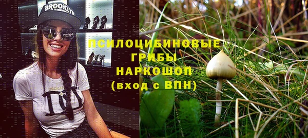 Альфа ПВП Баксан